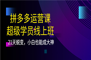 拼多多运营课：超级学员线上班，21天蜕变，小白也能成大神-何以博客