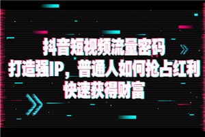 抖音短视频流量密码：打造强IP，普通人如何抢占红利，快速获得财富-何以博客