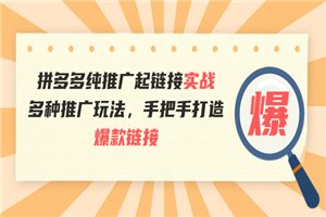 拼多多纯推广起链接实战：多种推广玩法，手把手打造爆款链接-何以博客