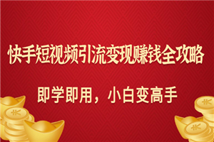 快手短视频引流变现赚钱全攻略：即学即用，小白变高手（价值980元）-何以博客