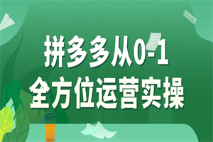 拼多多从0-1全方位运营实操-何以博客