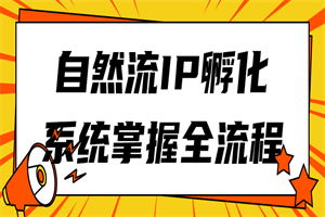 自然流IP孵化系统掌握全流程-何以博客