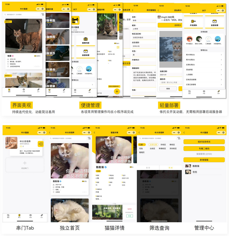 校园流浪猫信息记录和分享的小程序源码-何以博客