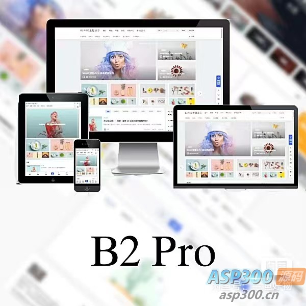 WordPress B2 Pro 主题5.2.0最新版本，欢乐版，包含官方包体和授权文件